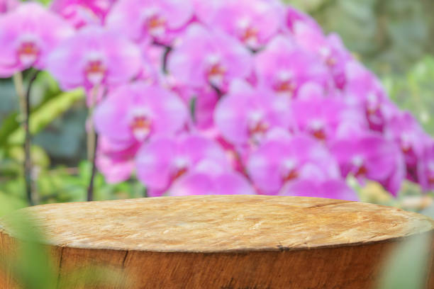 istock Empty old tree stump table top with blur orchid garden background for product display 2150754304