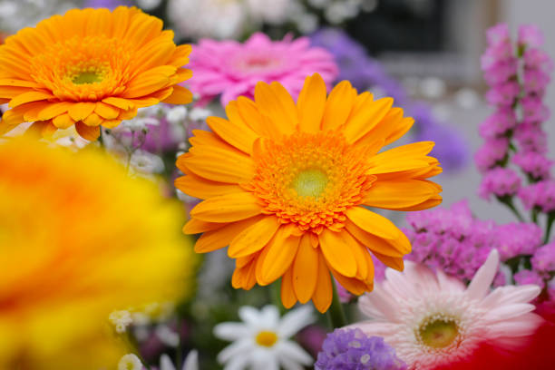 istock Beautiful flower bouquet, Flower background. 2150754308
