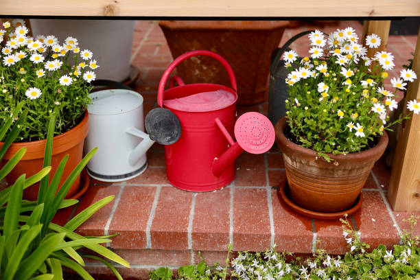 istock Gardening table with watering cans on the patio 2150757279