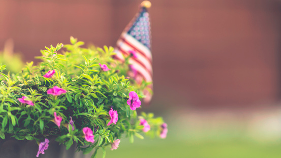 Plant pot with flowers and American flag in back yard of residential home