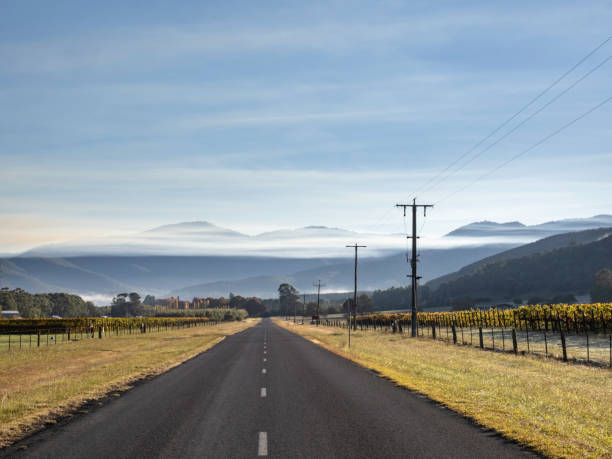 istock Country road and vineyards 2150761358