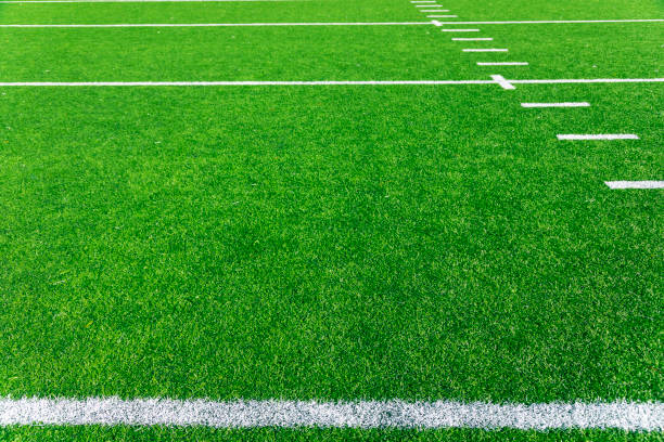 fifty yard line on a green football field in the the summer sunshine