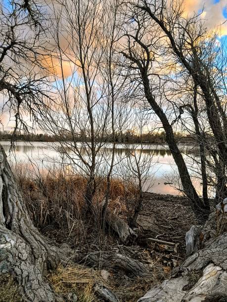 istock Scenic treelined path at sunset. 2150765912
