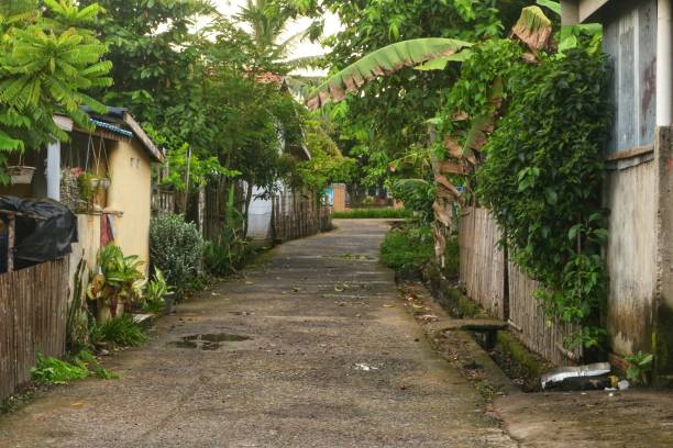 istock Village and animals 2150770673