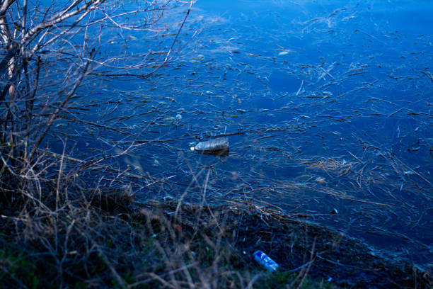 istock Plastic pollution of the lake plastic waste in water environmental crisis 2150773100