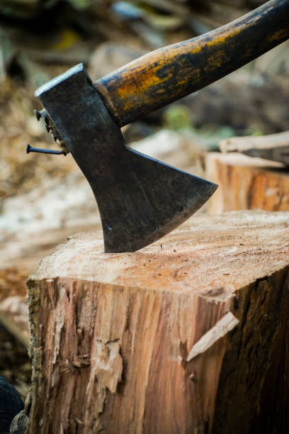 istock the old axe standing on the wood with dramatic tone 2150776336