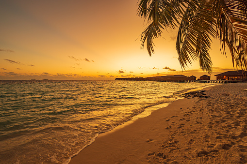Maldivian tropical paradise beach in sunset