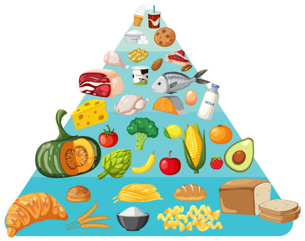 istock Illustration of various healthy foods in a pyramid 2150777812