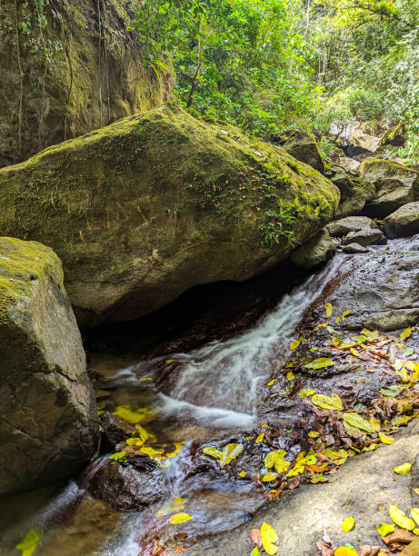 istock Creek at India Dormida Mountain 2150780016