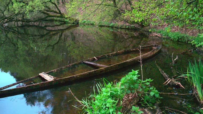 An old sunken boat on the shore of a lake.