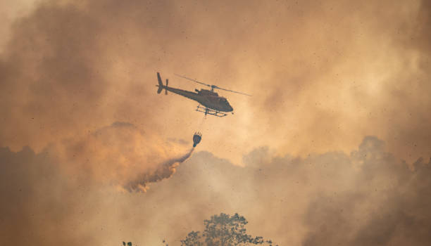 istock Fire fighting helicopter carry water bucket to extinguish the forest fire. 2150781663
