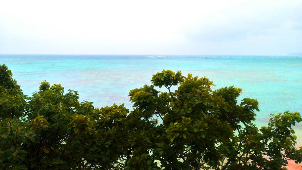 View of beach in Okinawa