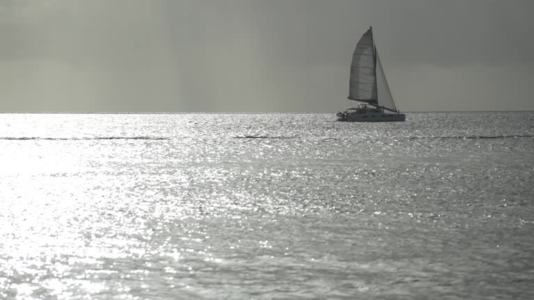 sail boat sailing the Caribbean Sea in barbados island at sunset