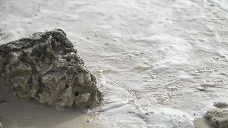 established ocean sea waves crash in to the rock on sandy tropical beach