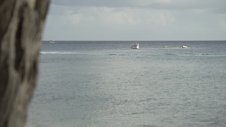 barbados Caribbean Sea ocean beach with fat boat cruising the water