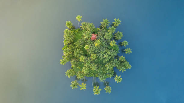 istock kerala is the most beautiful state in India 2150788549