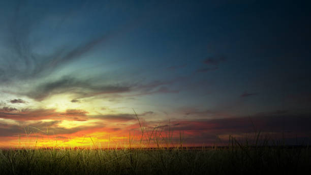 istock View of green grass on the meadow field 2150790003