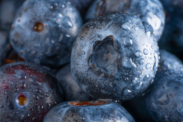 istock Fresh and delicious blueberries with water drops 2150790030