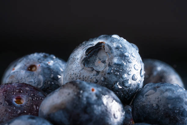 A close-up of a blueberry on a white background