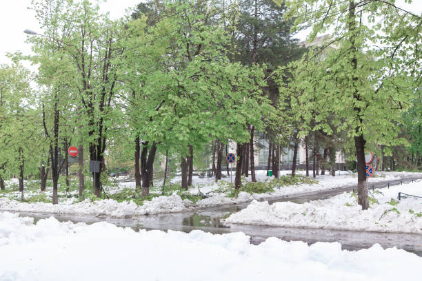 istock Snowfall in the city park in the early spring 2150793967
