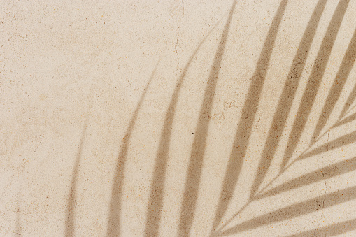 Palm tropical leaf shadow on textured concrete background neutral earth colored. Summer minimal style, sunlight. Beige monochrome summertime backdrop with plant sun shade with natural hard light