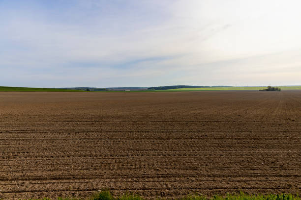 a field plowed in spring for sowing plants , plowed fertile soil for agricultural activities