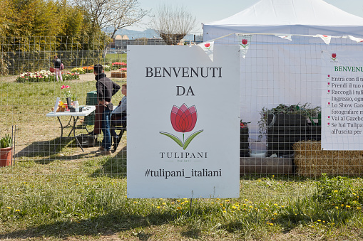 Turin, Italy - March 29 , 2023: Tulipani Italiani exhibition sign, colorful tulip flowers and field in spring sunlight