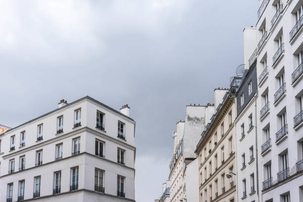 Parisian Skyscrapers: Gray Sky and Winter Ambiance