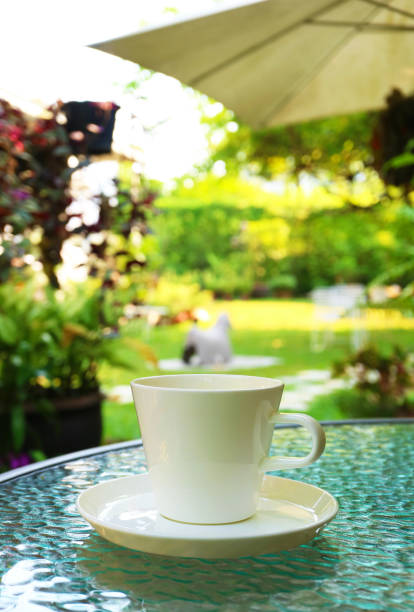 White coffee cup isolated on the beautiful garden table