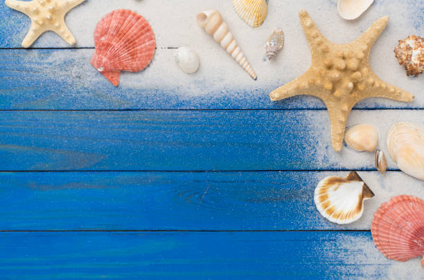 istock Sea shells, starfish and sand on wooden background, top view 2150801771