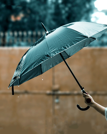 A Girl Holding Umbrella In Rain