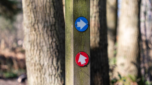 istock Red and blue arrows way marker sign on a trail 2150803331
