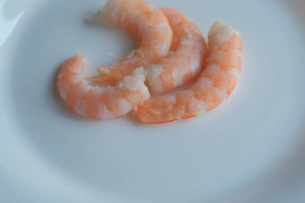 Colorful and delicious cooked shrimp arranged on plate ready for serving