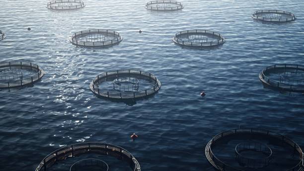 istock Aerial view of fish farm 2150805724