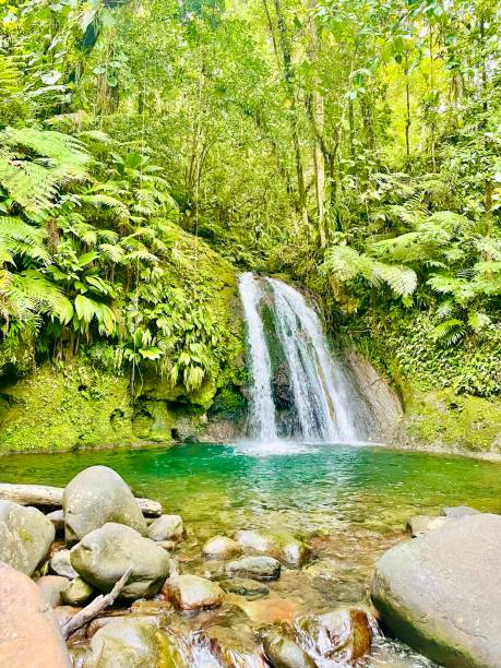 istock Calm cascade french west indies 2150808147