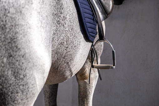The stirrup in equestrianism is a device that provides the rider with a secure foothold for the feet while riding a horse. It helps to maintain stability and correct position, allowing effective communication with the horse and improving the rider's balance.