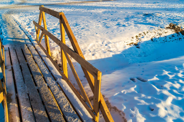 Small green metal bridge spans a frozen stream in a park coated with fresh snow. Frosted trees and soft golden light in the background create a serene, storybook winter atmosphere ideal for themes of calm, holidays, and seasonal beauty.