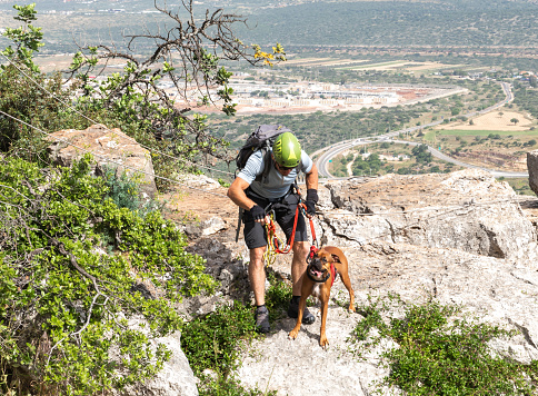 Tiberias, Israel, April 23, 2024 : Professional athlete with special equipment climbs the Via Ferrata Ravid route with a dog in the mountains near Tiberias in northern Israel
