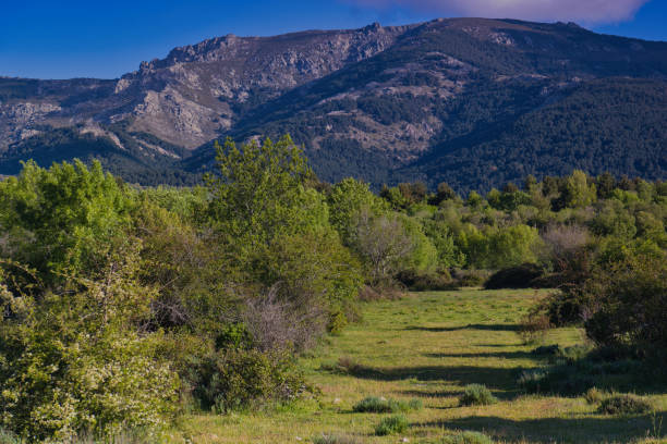istock landscape, view, nature, mountains, plants, trees, greenery, spring, sunny, Spain, 2150812369