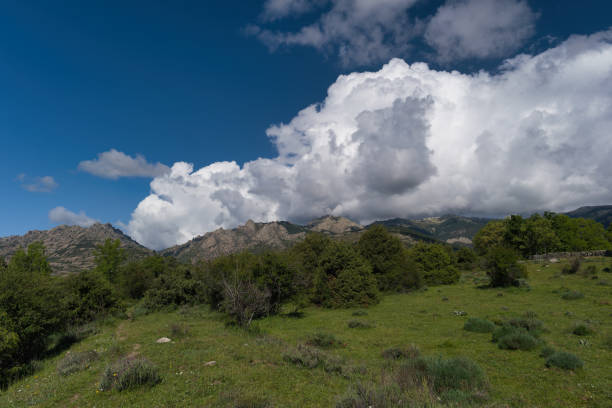 spring landscape mountain view on a sunny beautiful day