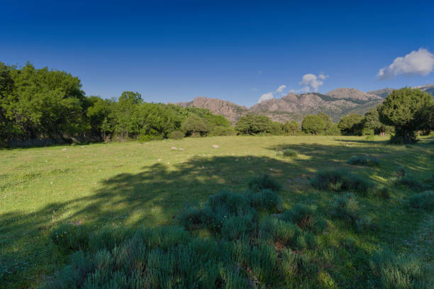 spring landscape mountain view on a sunny beautiful day