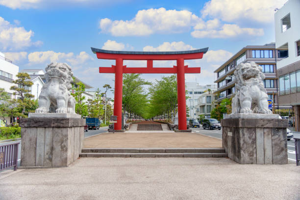 Kamakura, Kanagawa, Japan - April 25, 2024:The approach to Tsurugaoka Hachimangu Shrine. Wakamiya Oji (Dankazura) second torii gate and guardian dog.