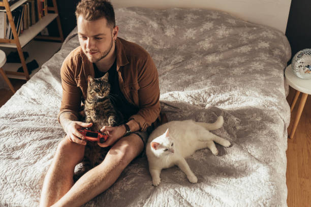 istock Man spending time with his cats at the cozy home atmosphere while playing 2150817266