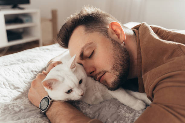 istock Man bonding to his white fluffy cat while spending time together at the bed 2150817287