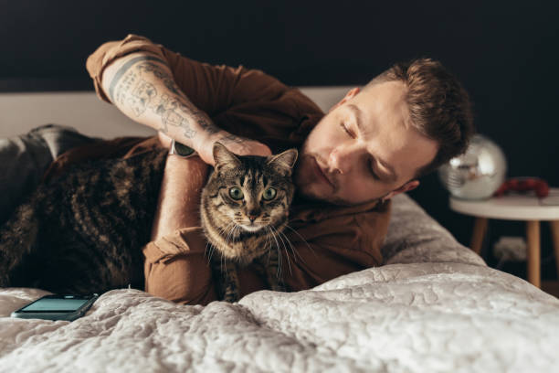 istock Man stroking his striped cat while spending time with him at the bedroom 2150817293