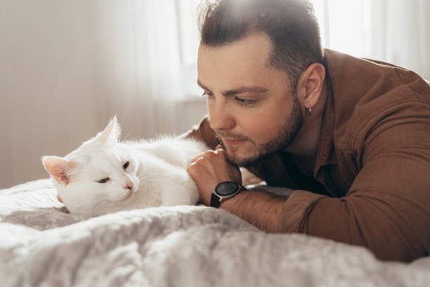 istock Man bonding to his white fluffy cat while spending time together at the bed 2150817298