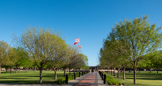Lubbock, Texas, USA-April 11, 2024: Students walking through campus. Texas Tech University.