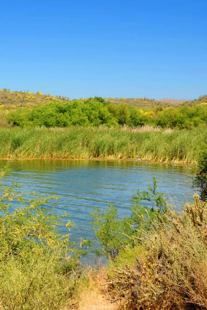 istock Autumn at Saguaro lake in Arizona 2150820409