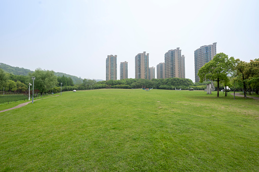 Modern buildings behind grass in urban park in Zhejiang Province, China
