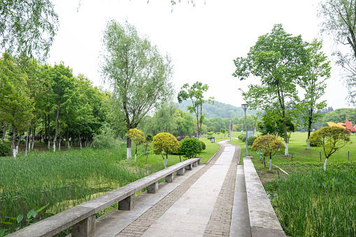 Green trees and walking path in Spring Park, Zhejiang Province, China